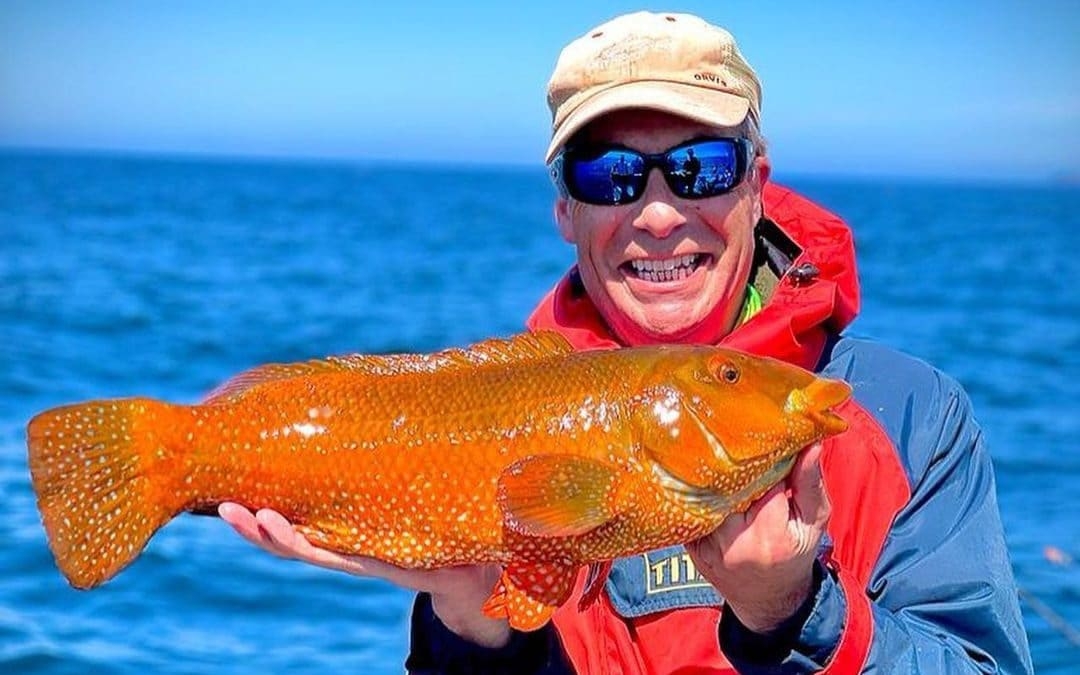 Nigel's fishy business