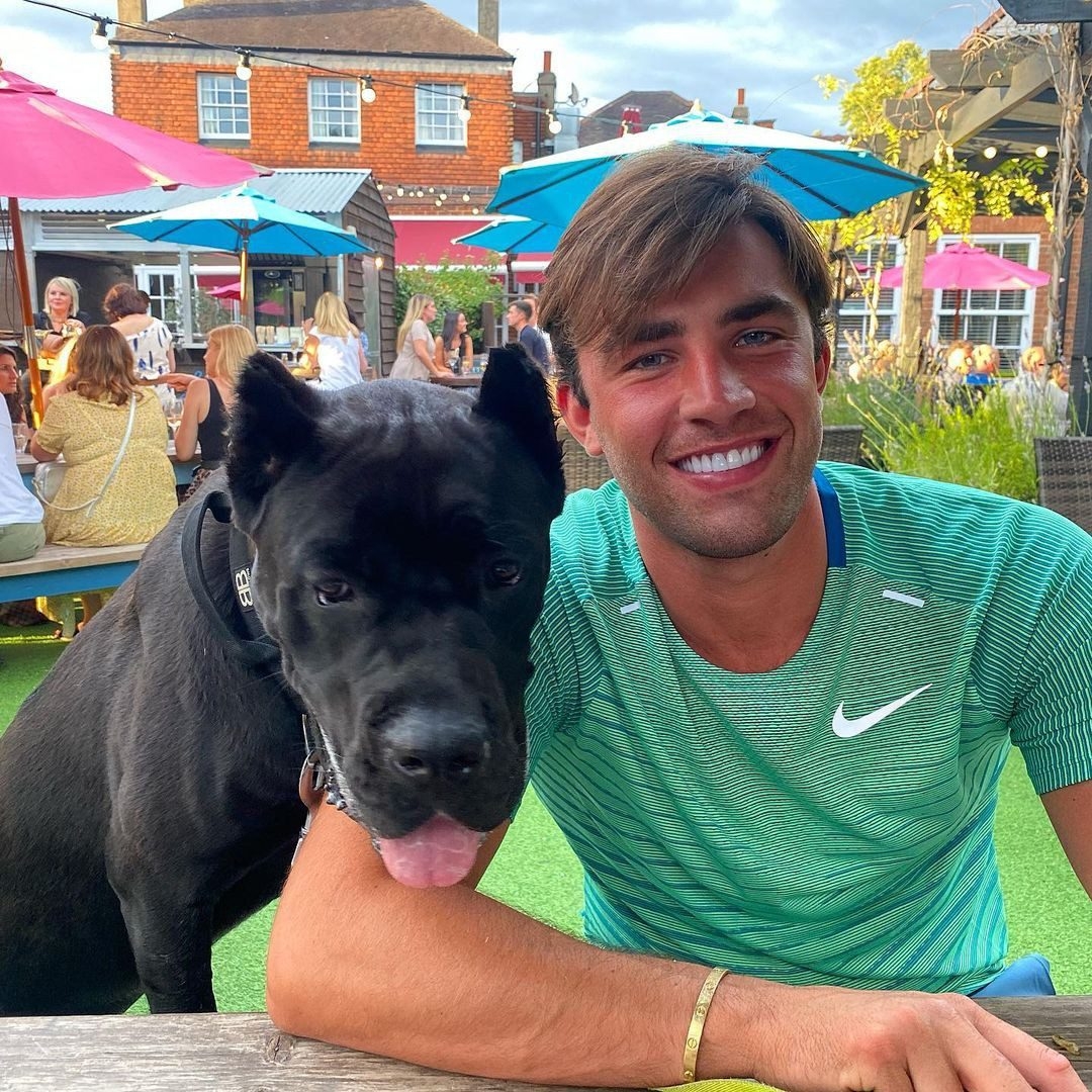 Love Island star jailed after ‘out of control' dog bit runner