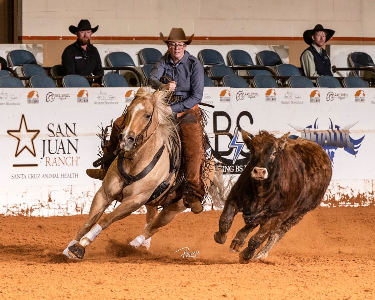 MTSU Mondays: Stock Horse team wrangles national title; roots music fest May 31