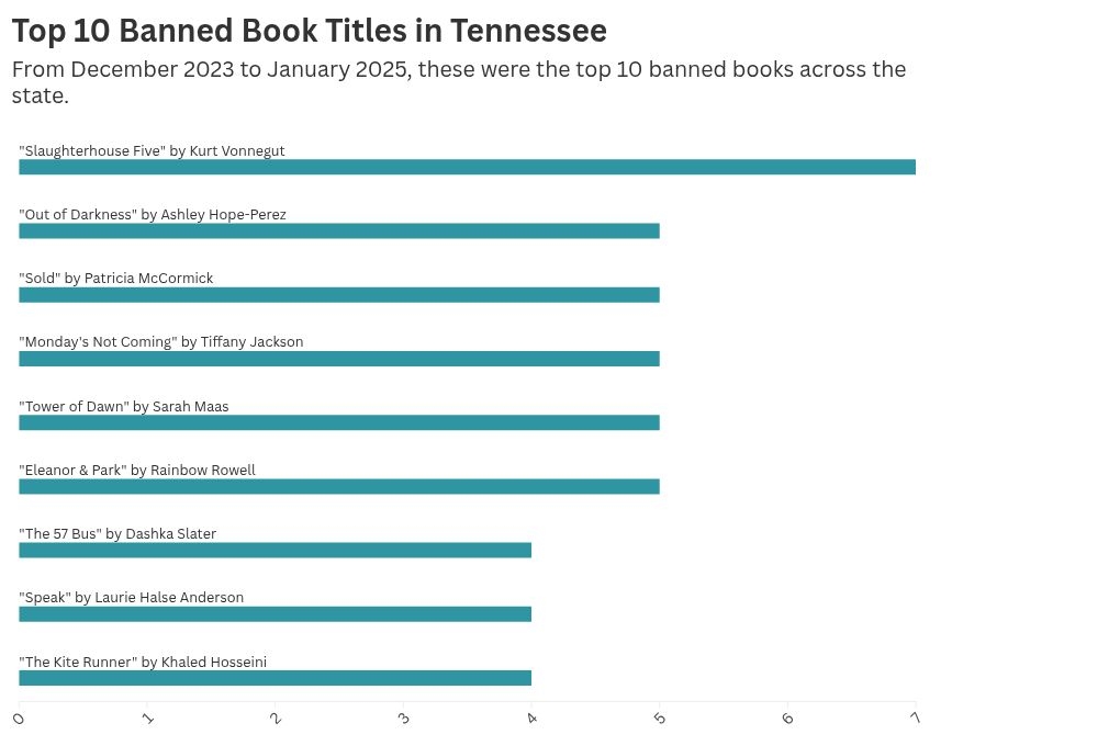 Race, sex and the Holocaust: As book bans grow across the state, some genres see more bans