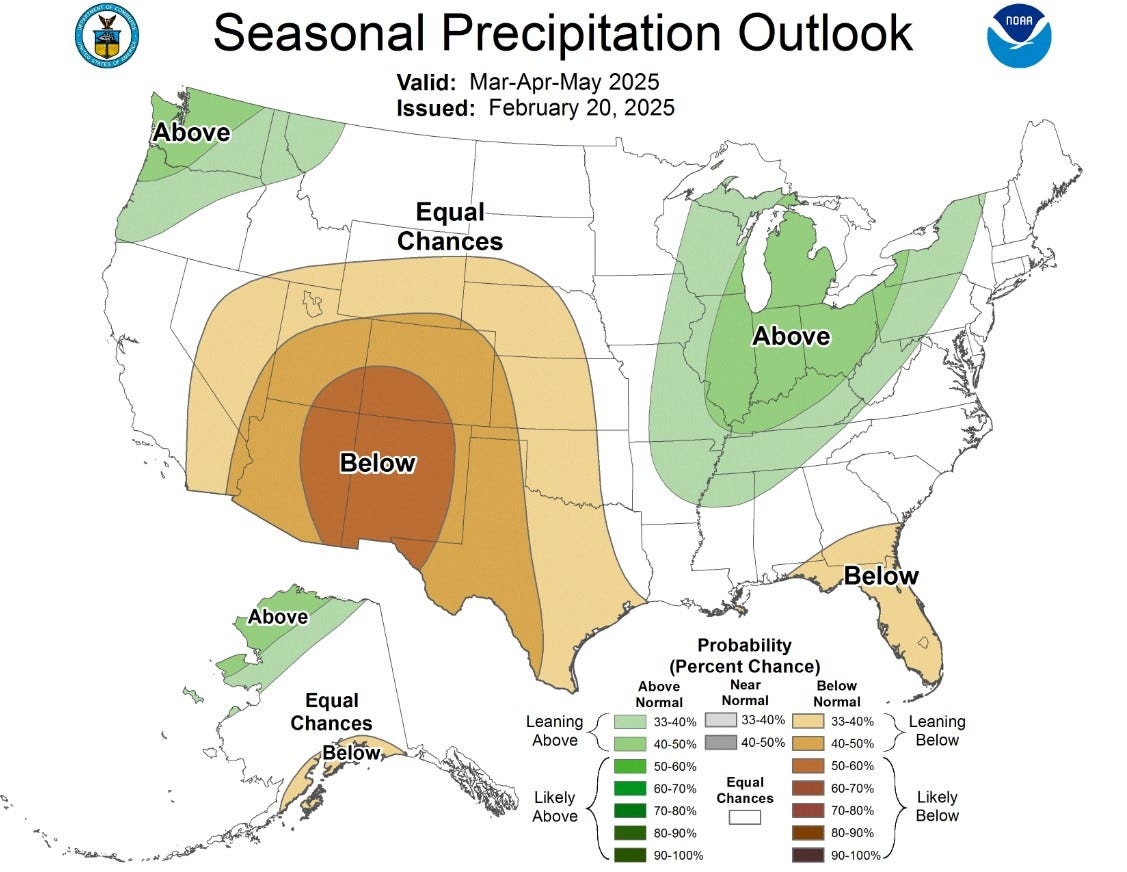 Spring weather in Nashville area: What forecasters are predicting for the 2025 season
