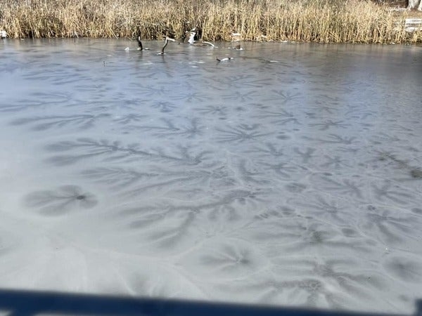 Lake Stars: What Are They And How Do They Form?