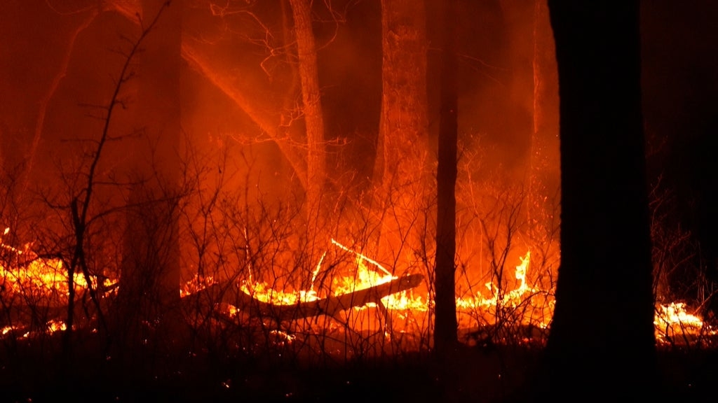 Fast-Moving Wildfire Forces Evacuations In New Jersey, Shuts Down Part Of Garden State Parkway