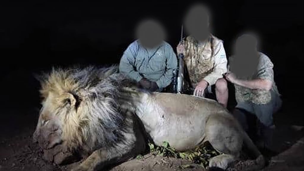 Rage Over New Trophy Hunting Slaying Echoes Cecil the Lion