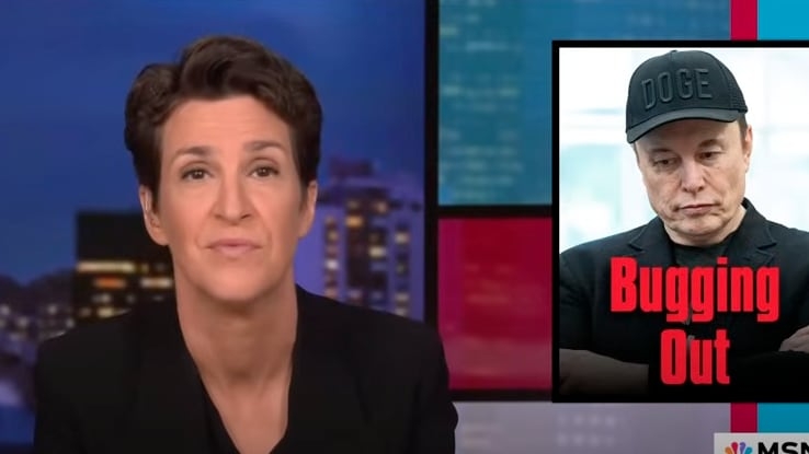 Maddow Lays Bare Elon Musk's Real Legacy in Scathing Segment
