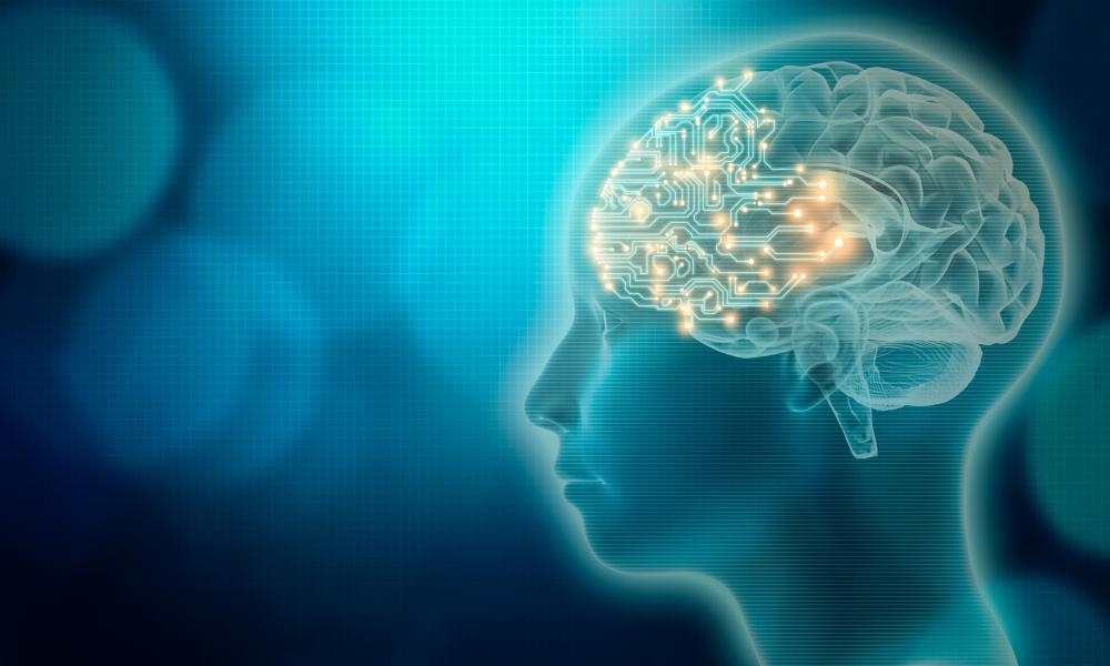 US Authors Guild to certify books from ‘human intellect' rather than AI