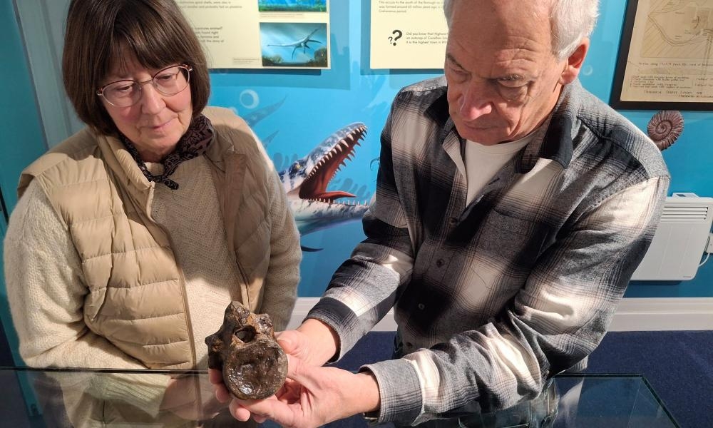‘Truly unique find': part of Swindon Stegosaur returns to Wiltshire town