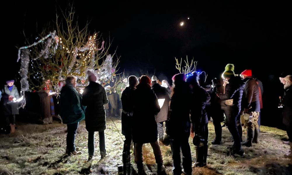Country diary: Beating pots and pans, it's time to go a-wassailing