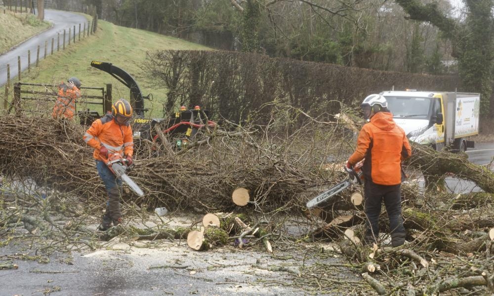 Two men killed by falling trees during Storm Éowyn