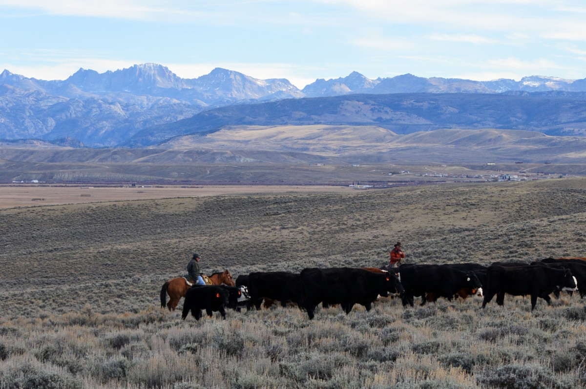 Wyoming highway workers' union plans to put Bitcoin on balance sheets