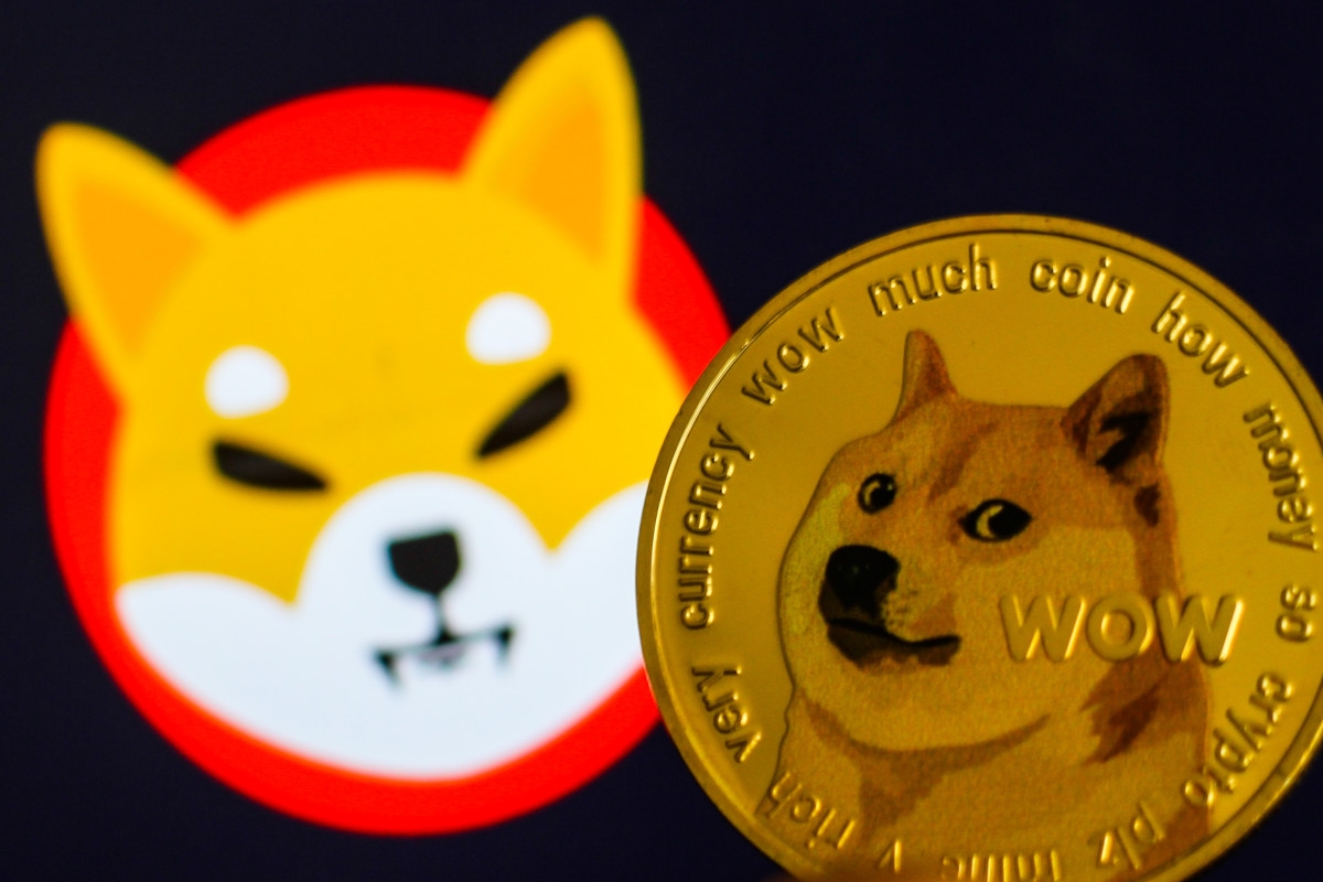 Analyst predicts bullish momentum for Shiba Inu, but Dogecoin may dip