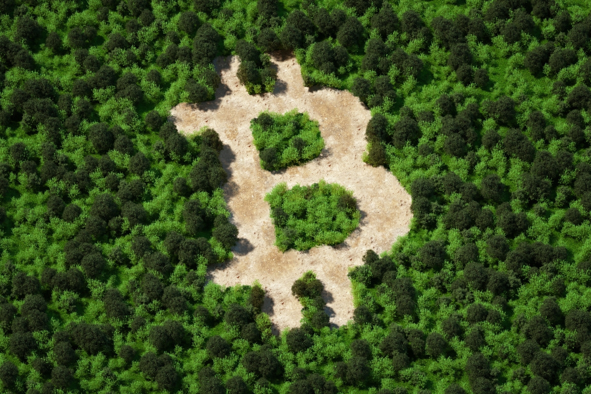 U.S. needs to audit its Bitcoin and start buying more, says Bitcoin Bond CEO