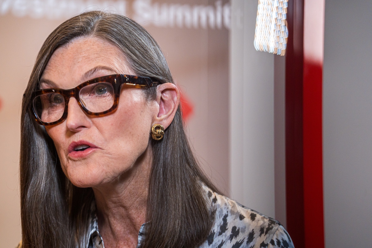 Cathie Wood has a strong message on Elon Musk's legacy