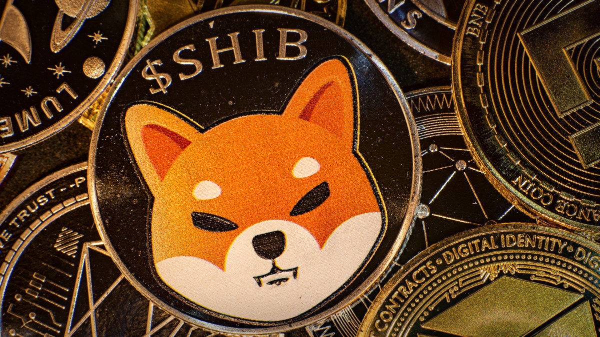 Shiba Inu burn rate drops 50% — analyst predicts 300% surge by May