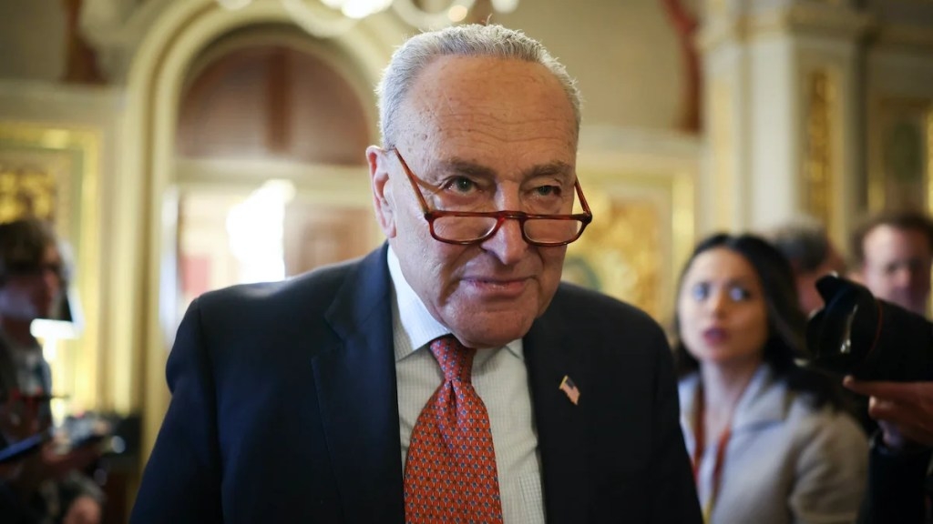 Chuck Schumer Admits He Agrees With Elon Musk: ‘He's Right'