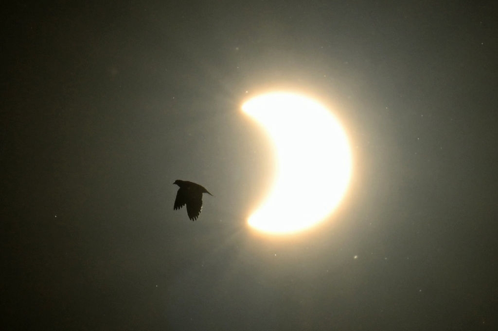 You Won't Want to Miss March's Partial Solar Eclipse
