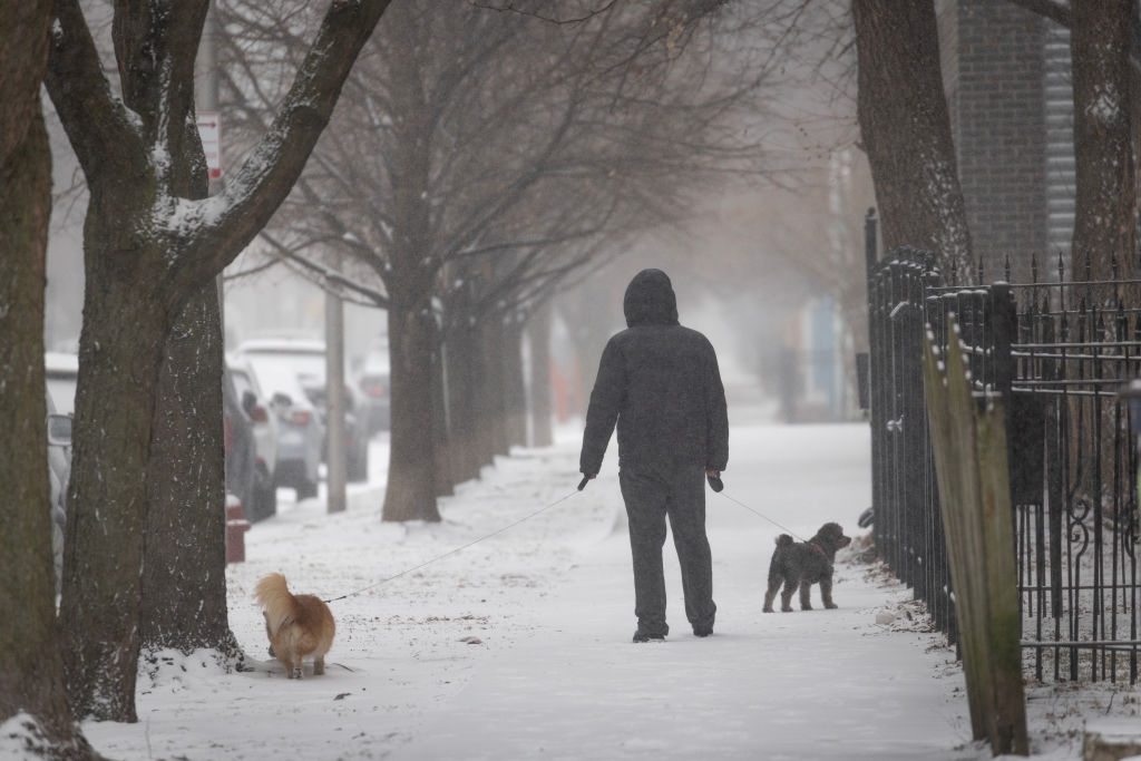 Why Climate Change Sometimes Brings Major Winter Storms