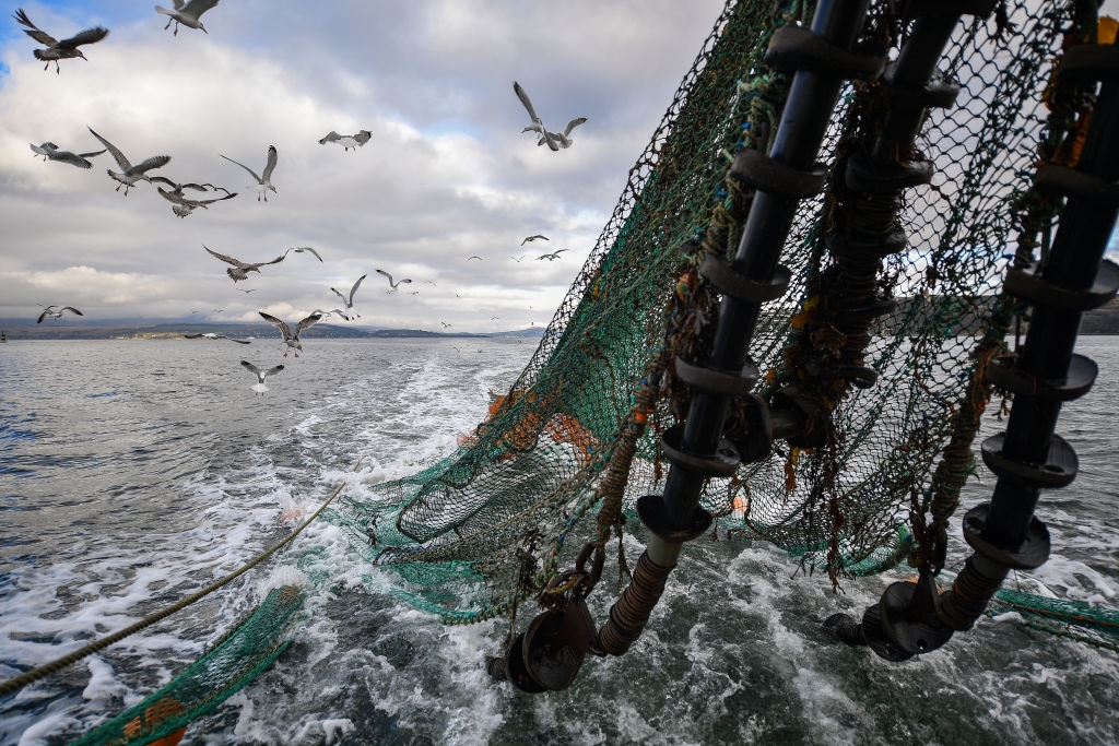 How AI Can Help Save Our Oceans