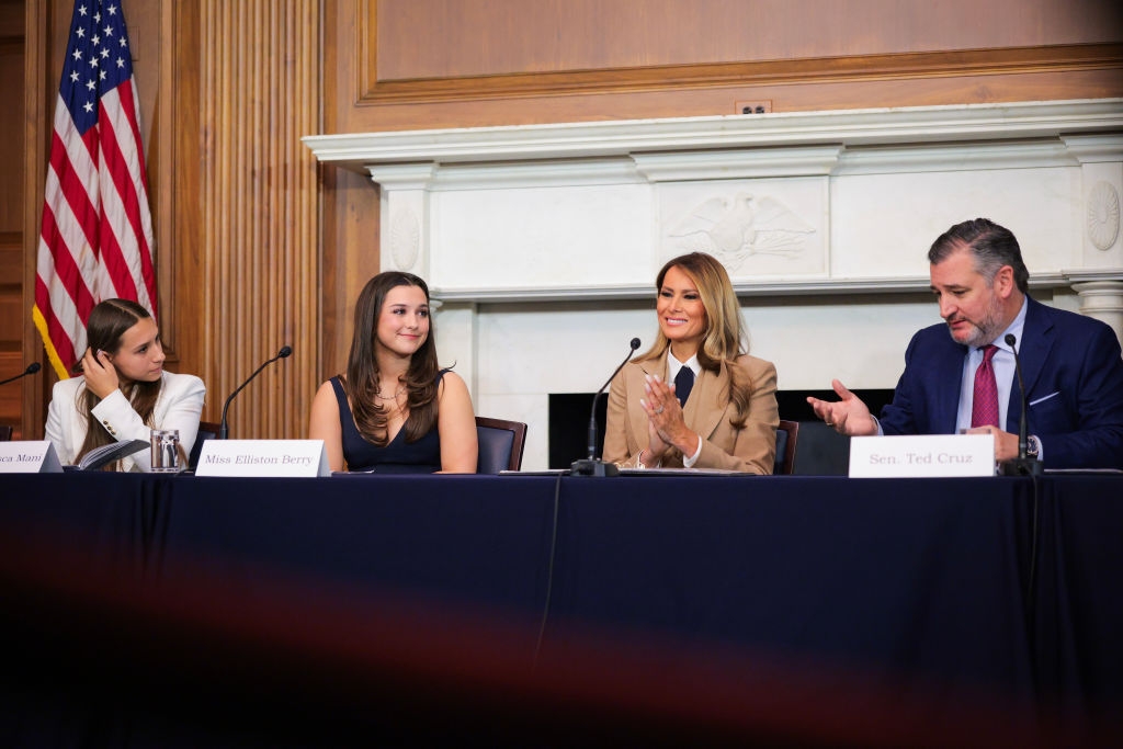 The First Major US Law to Fight AI Harms and Deepfake Abuse
