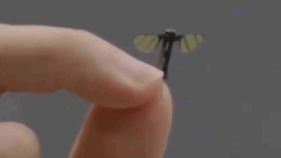 Mosquito-sized drone is designed for Chinese spy missions — military robotics lab reveals incredibly tiny bionic flying robots