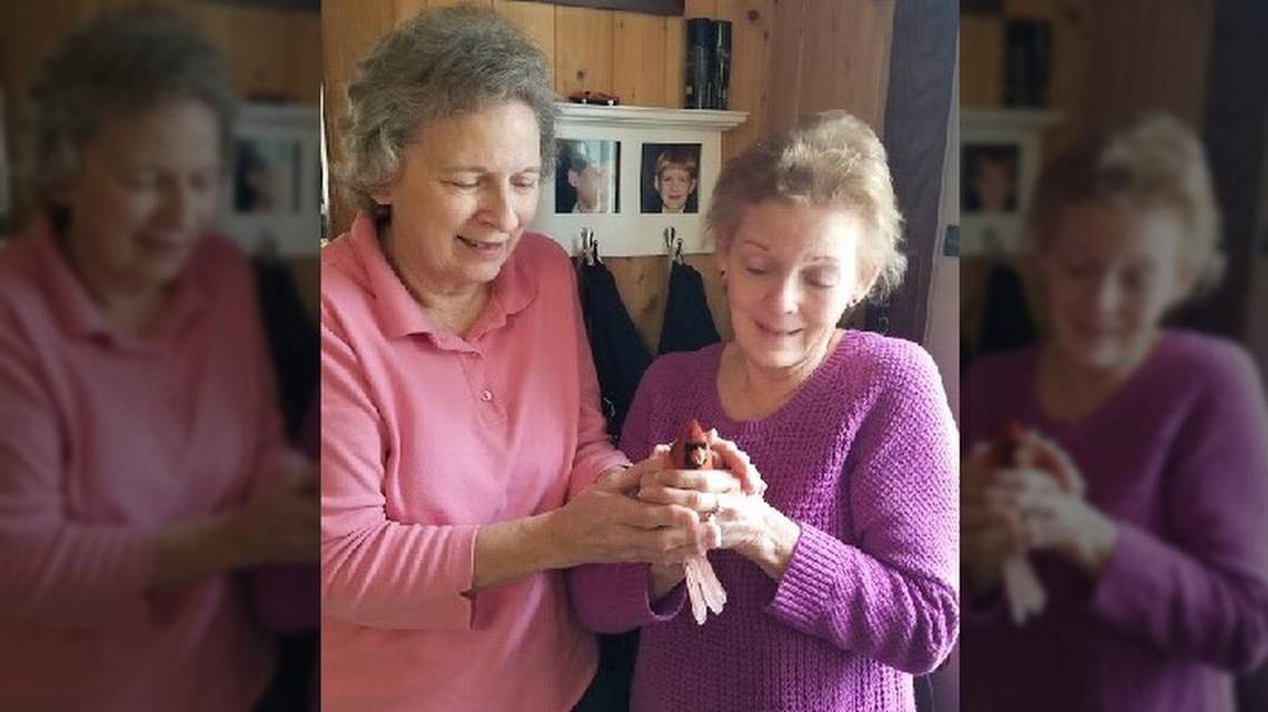 Their late mother's promise flew in on a wing and a prayer