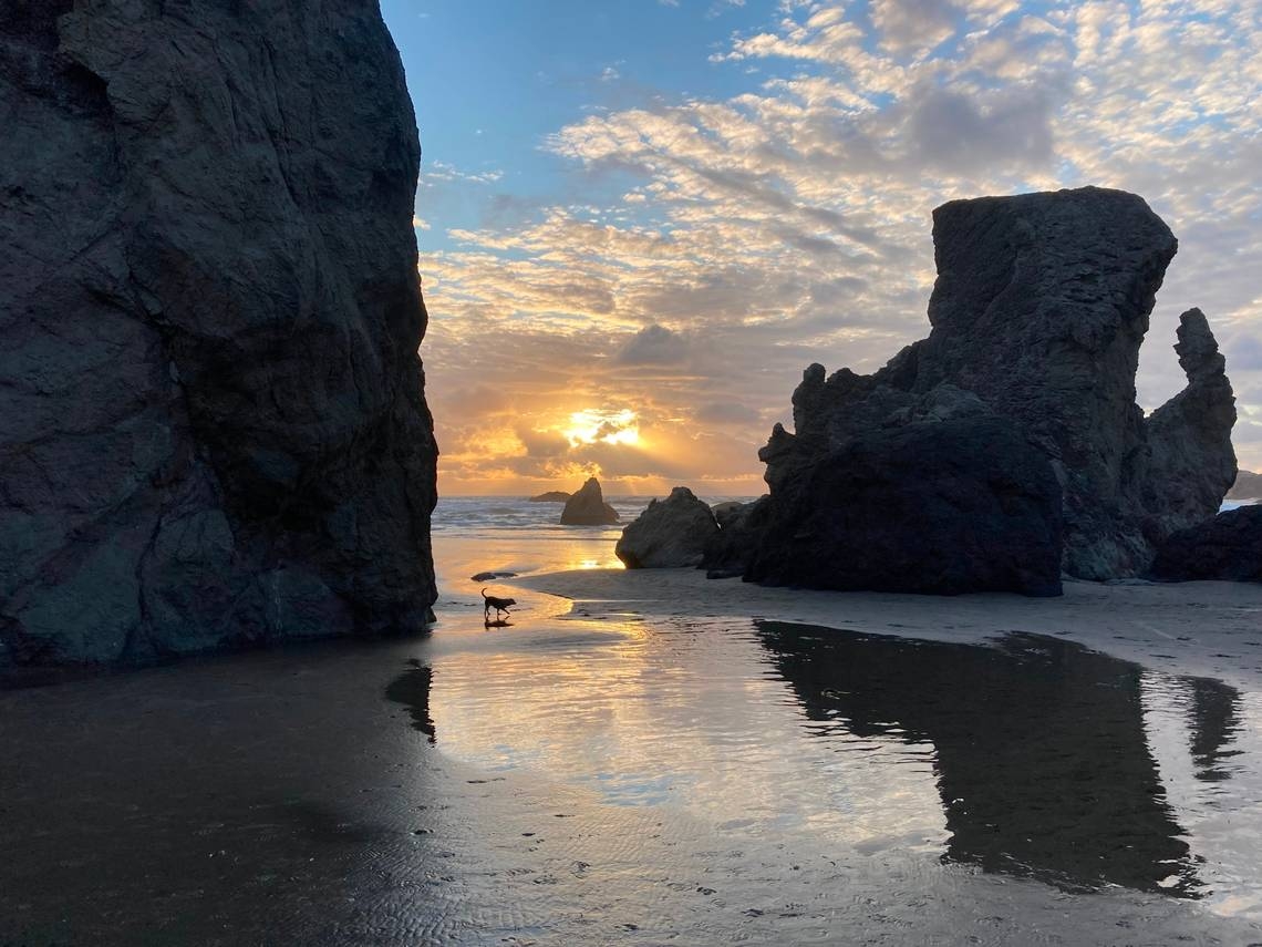 The art of ‘beachcombing' finds room for our heart and soul to breathe