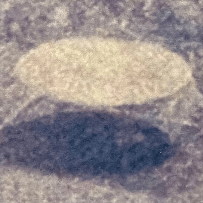 Shocking '1000-ft UFO' photo has been shared by a Pilot