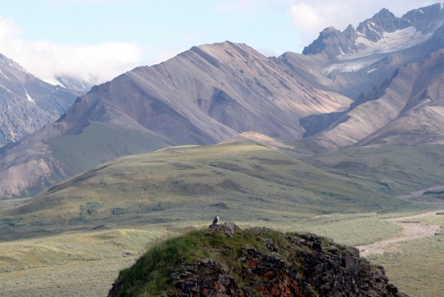 Mt. McKinley climber's body found after plunging 3,000 feet