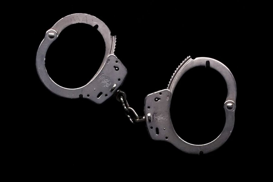 Man, woman charged with roles in posting monkey abuse videos
