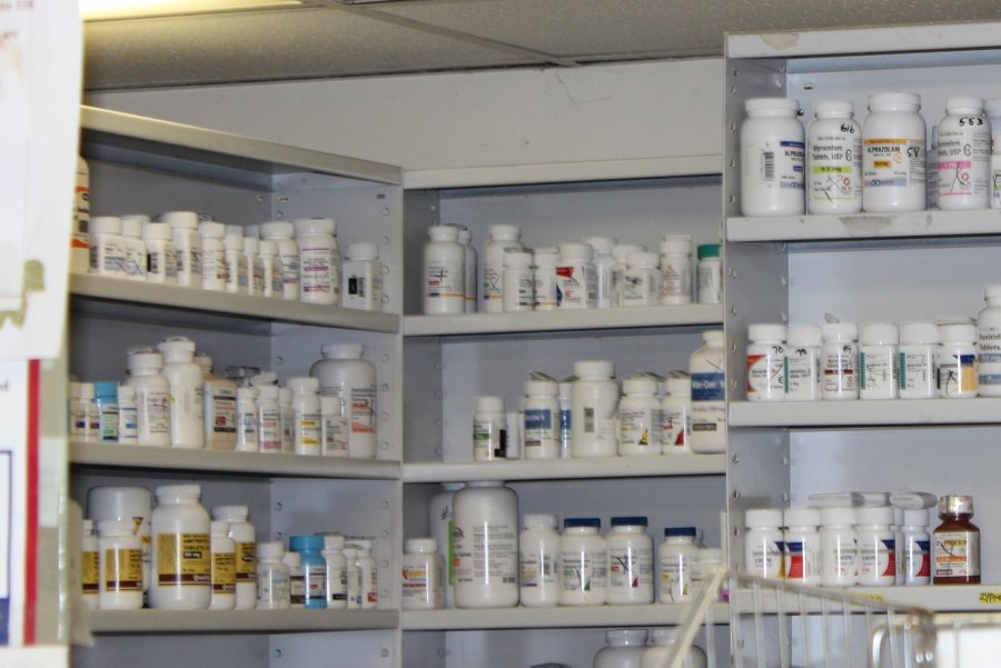 Chilean scientists develop probiotic to help prevent stomach cancer