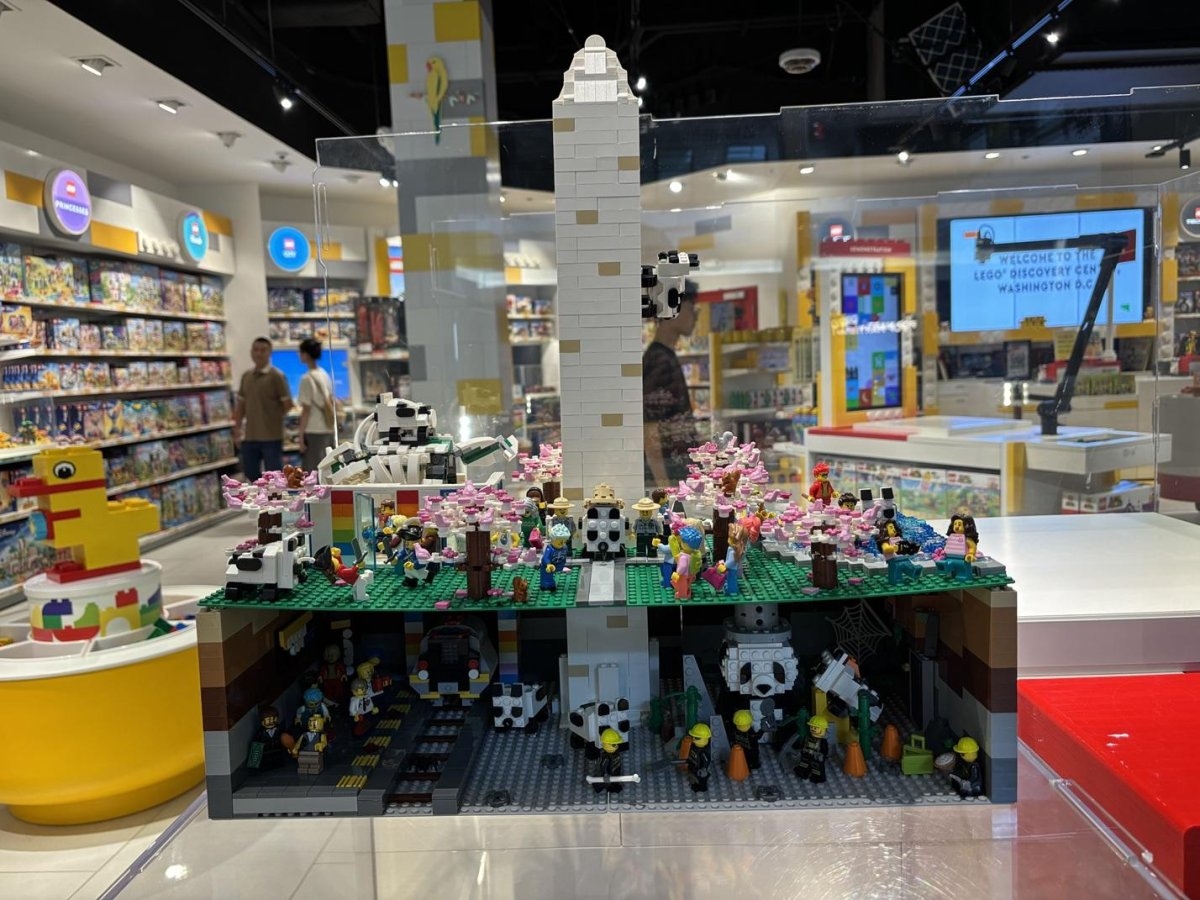 Winner of D.C. Lego contest shows pandas taking over the capital