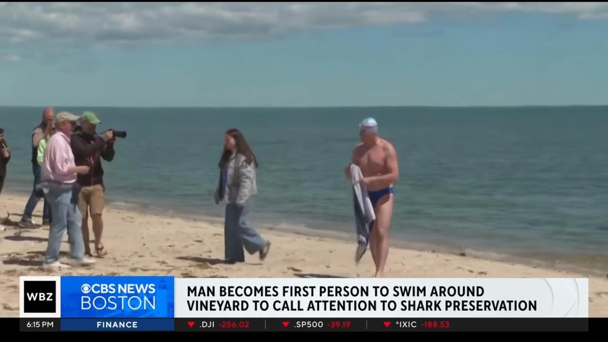 Watch: Swimmer circumnavigates Martha's Vineyard for shark conservation