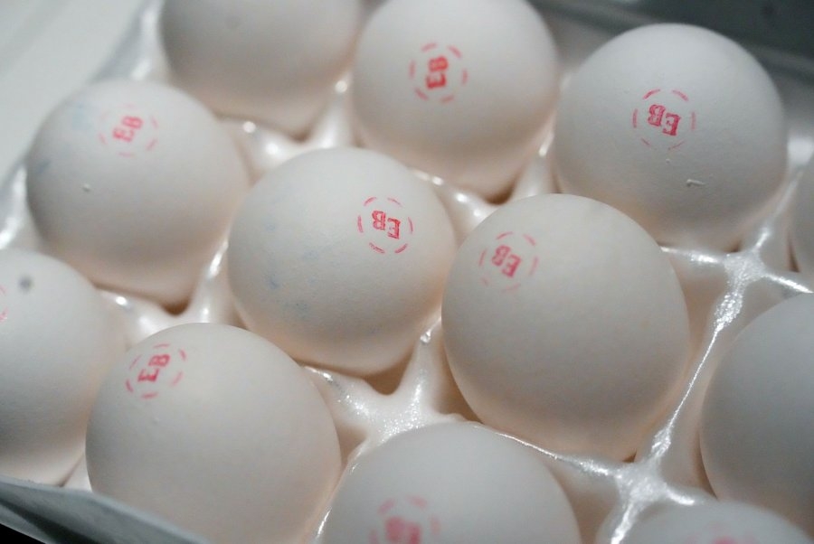 CBP: Travelers can't bring Mexican eggs into United States