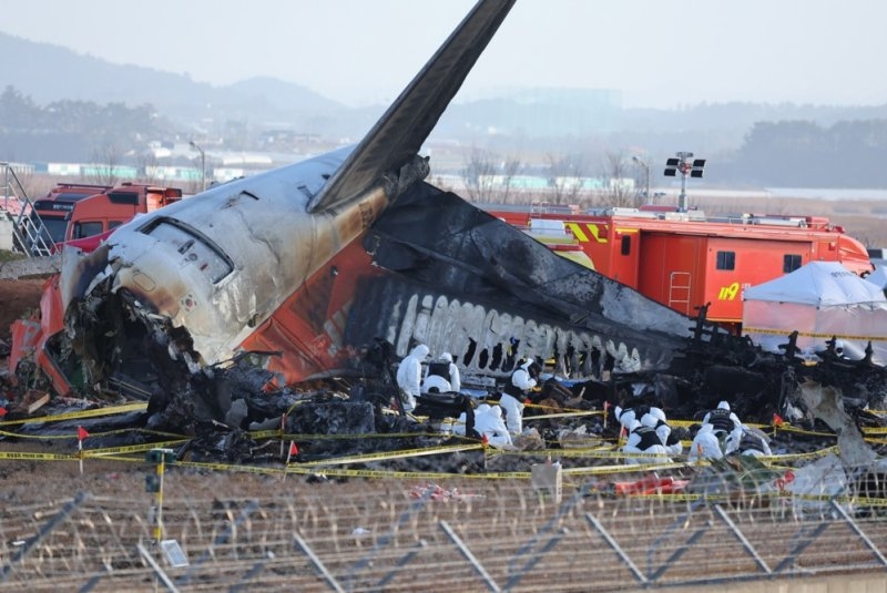 Preliminary report suggests bird strikes caused December's Jeju Air crash in South Korea