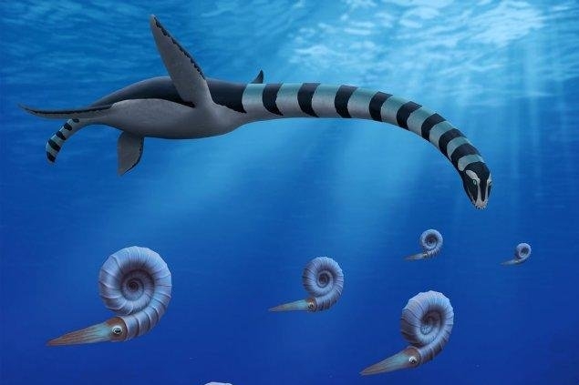 Newly identified prehistoric creature found in Canada seen as a 'fascinating beast'
