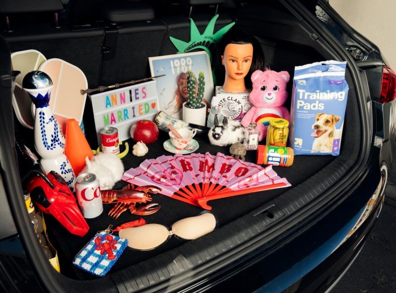 Uber's lost and found items include live turtle, chainsaw