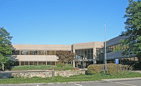 Gartner Inc (IT) Q1 2025 Earnings Call Highlights: Strong Financial Performance Amidst Federal ...