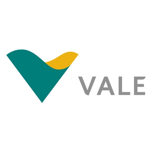 Vale SA (VALE) Q2 2025 Earnings Call Highlights: Strong Production Gains Amid Cost Reductions