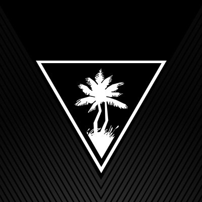 Turtle Beach Corp (TBCH) Q4 2024 Earnings Call Highlights: Record Revenue and EBITDA Surge Amid ...