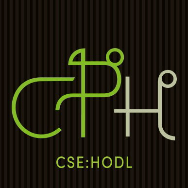 Sol Strategies Inc (CYFRF) Q2 2025 Earnings Call Highlights: Navigating Losses and Strategic ...
