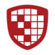 Digital Ally Inc (DGLY) Q1 2025 Earnings Call Highlights: A Turnaround Quarter with Positive ...