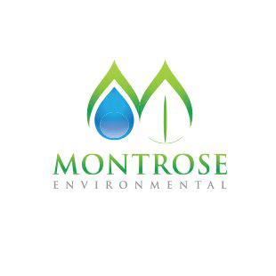 Montrose Environmental Group Inc (MEG) Q1 2025 Earnings Call Highlights: Record Revenue and ...