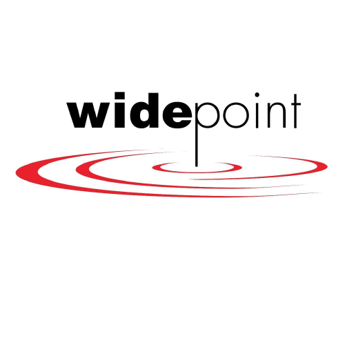 WidePoint Corp (WYY) Q1 2025 Earnings Call Highlights: Strategic Wins Amidst Financial Adjustments