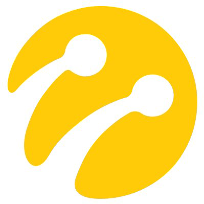 Turkcell Iletisim Hizmetleri AS (IST:TCELL) Q1 2025 Earnings Call Highlights: Strong Revenue ...