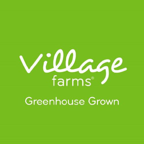 Village Farms International Inc (VFF) Q2 2025 Earnings Call Highlights: Record Profitability ...