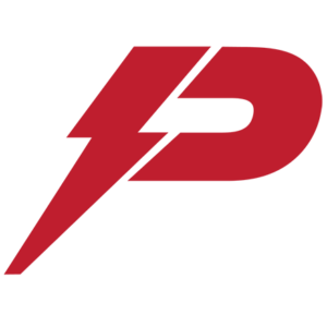 Pioneer Power Solutions Inc (PPSI) Q1 2025 Earnings Call Highlights: Revenue Surge Amidst ...