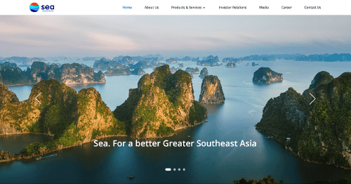 Sea Ltd (SE) Q1 2025 Earnings Call Highlights: Record Revenue and Profitability Surge Amidst ...