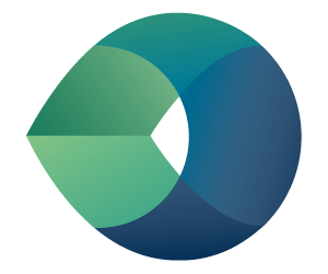 Camtek Ltd (CAMT) Q1 2025 Earnings Call Highlights: Record Revenues and Strategic Product ...