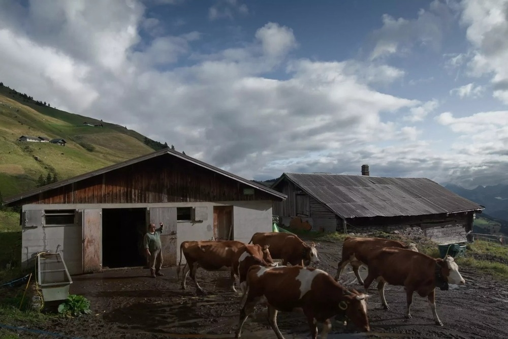 Co-Production Boost and Sturdy Funding System Fuel a Healthy Crop of Swiss Films at Visions du Réel