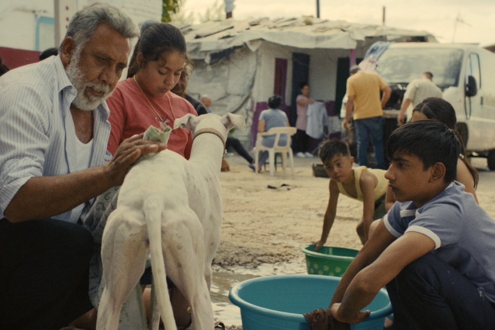 Spanish Titles at This Year's Marché du Film